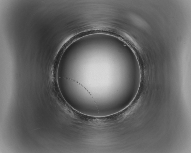 X0000113090875200908281241