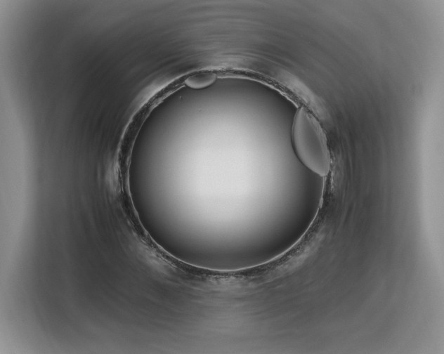 X0000113090876200908281241