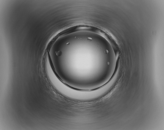 X0000113090877200908281241