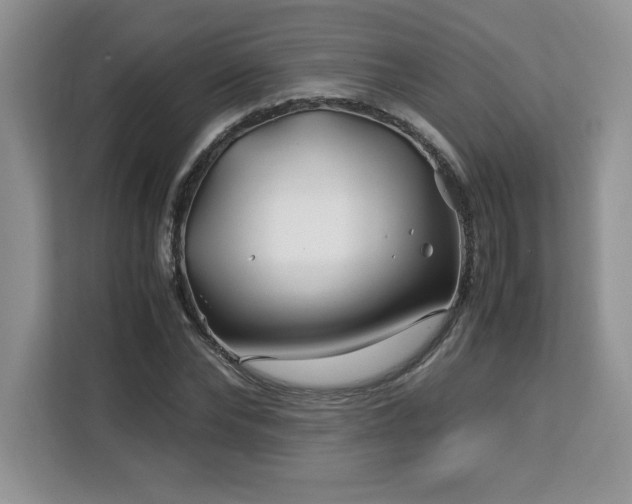 X0000113090878200908281241
