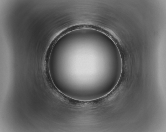 X0000113090879200908281241
