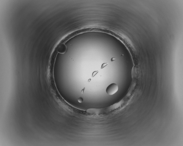 X0000113090880200908281241