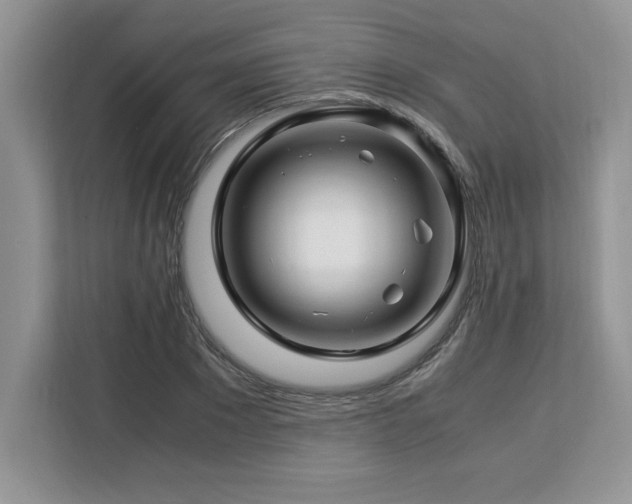 X0000113090881200908281241