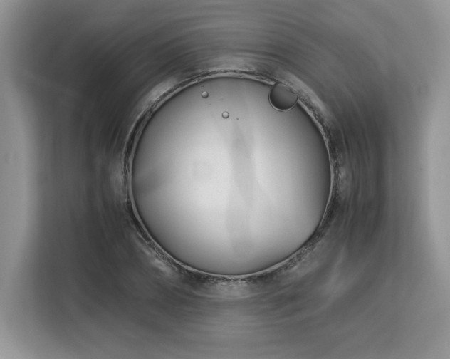X0000113090882200908281241