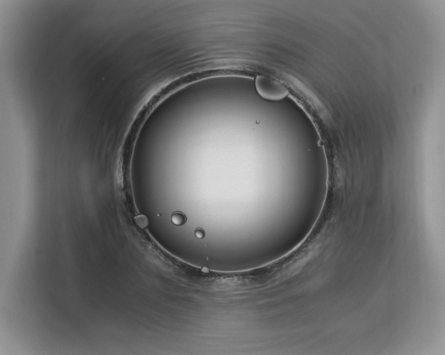 X0000113090883200908281241