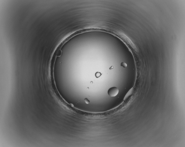 X0000113090884200908281241