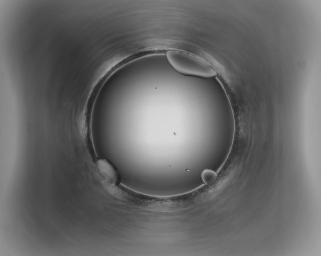 X0000113090885200908281241