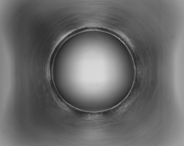 X0000113090887200908281241