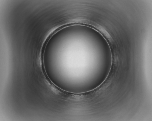 X0000113090888200908281241