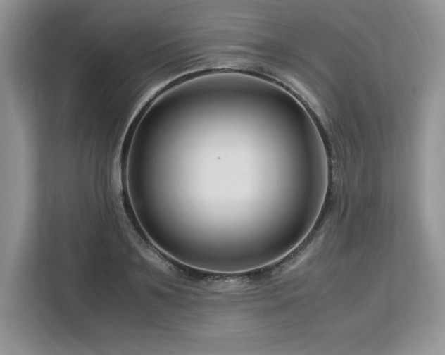X0000113090891200908281241