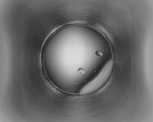 X0000113090892200908281241
