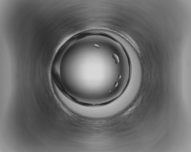 X0000113090893200908281241