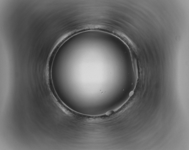 X0000113090894200908281241