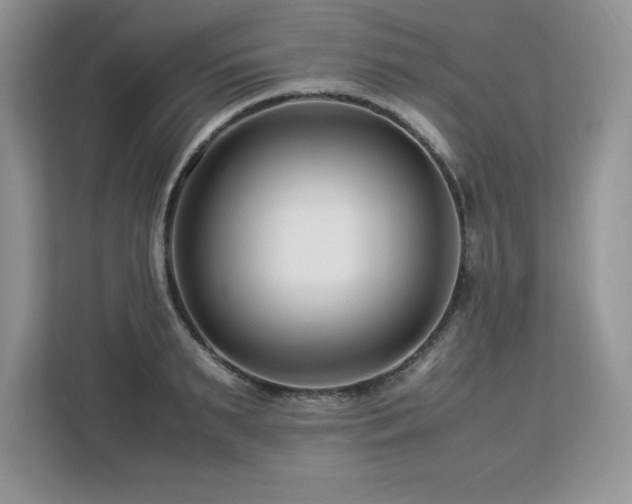 X0000113090895200908281241