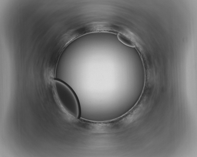 X0000113090897200908281241