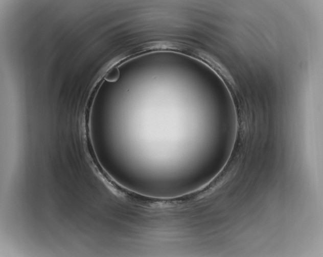 X0000113090898200908281241