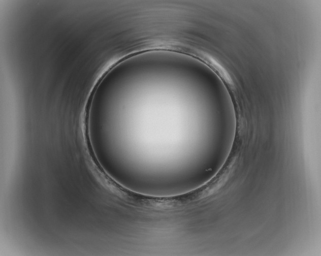 X0000113090899200908281241
