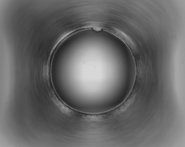 X0000113090900200908281241