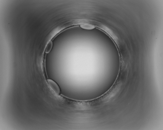 X0000113090901200908281241