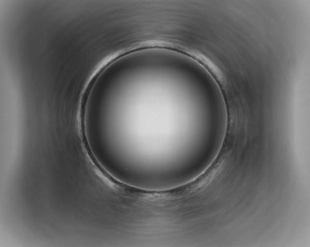 X0000113090902200908281241