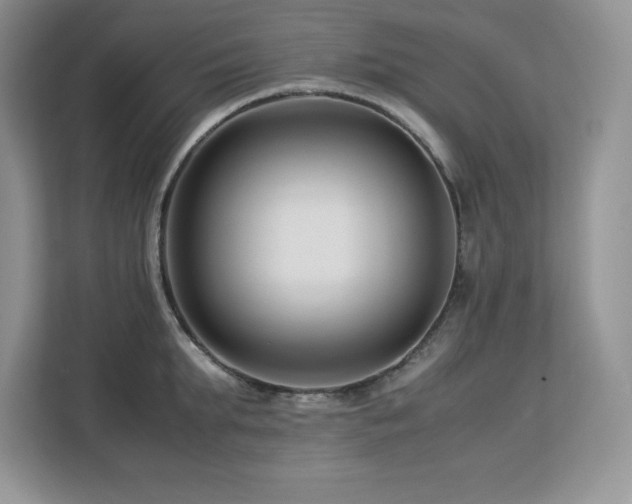 X0000113090903200908281241