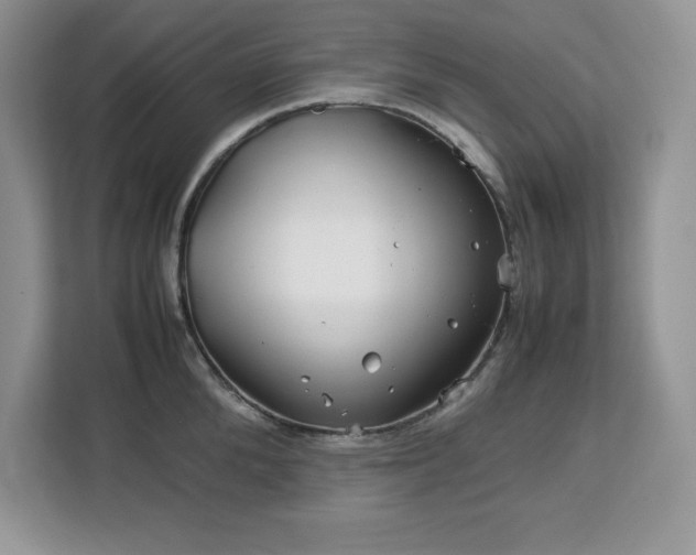 X0000113090904200908281241
