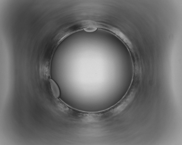 X0000113090905200908281241