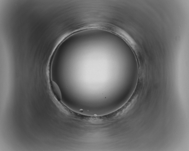 X0000113090907200908281241
