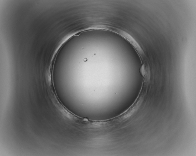 X0000113090908200908281241