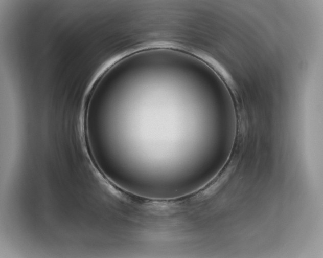 X0000113090910200908281241