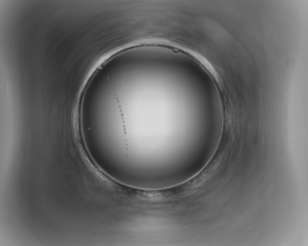 X0000113090911200908281241