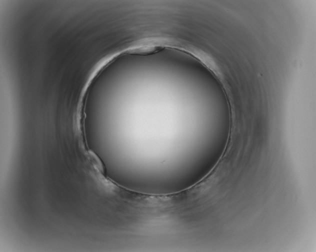 X0000113090912200908281241