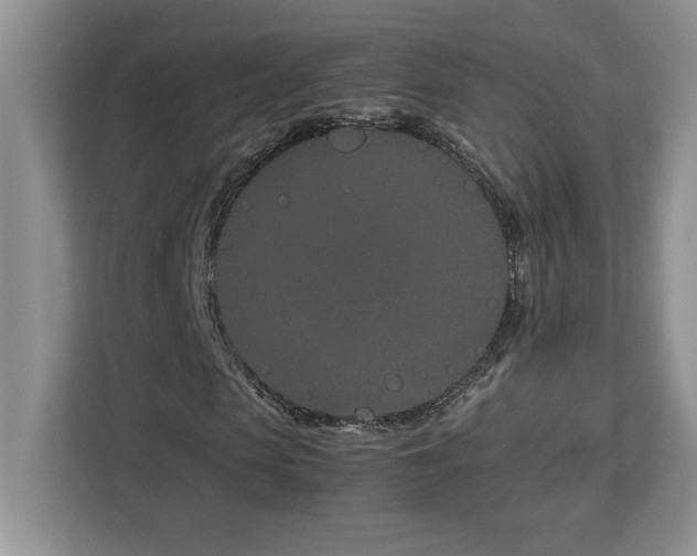 X0000113090913200908281240