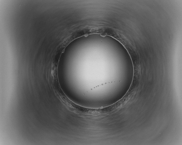 X0000113090914200908281240