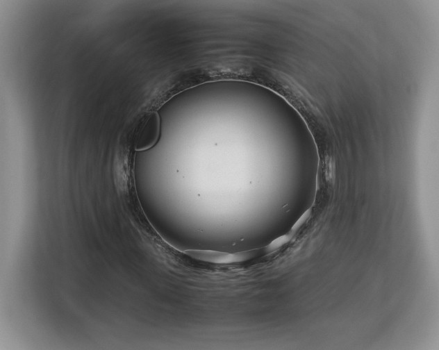 X0000113090915200908281240