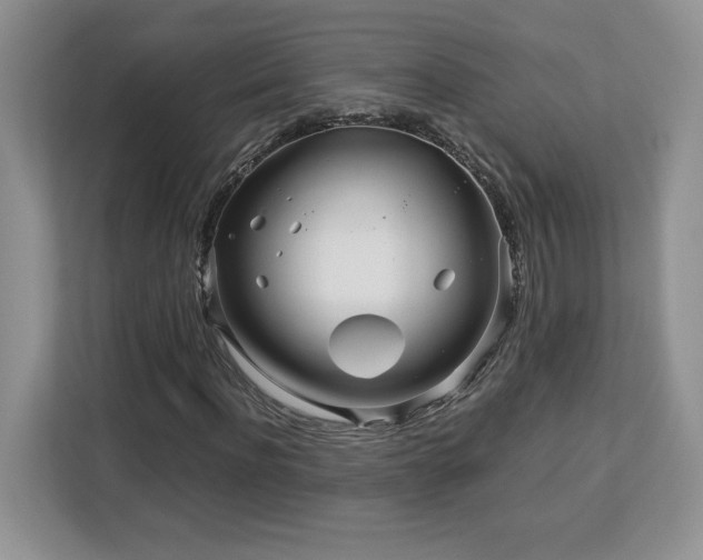X0000113090916200908281240