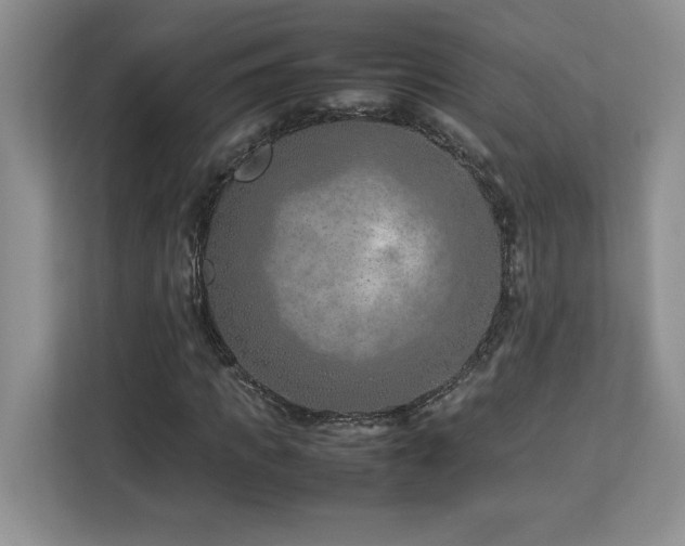 X0000113090917200908281240