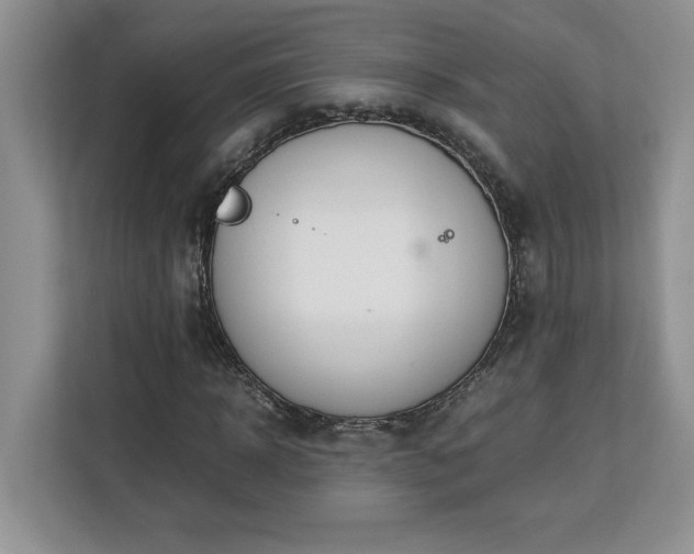 X0000113090918200908281240