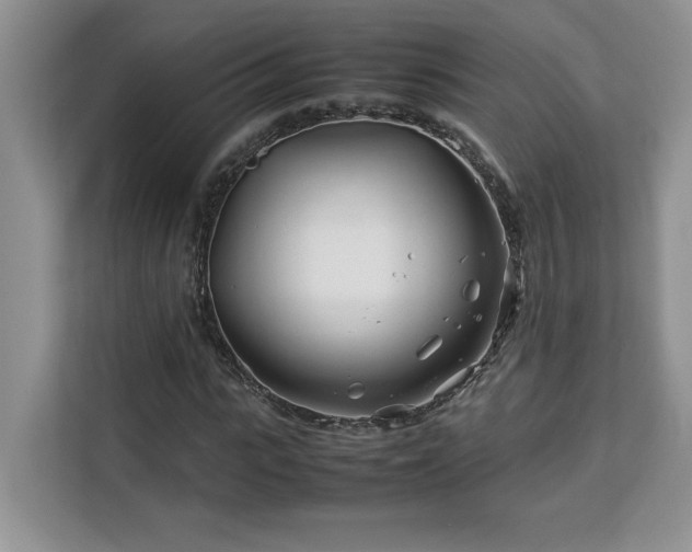 X0000113090919200908281240