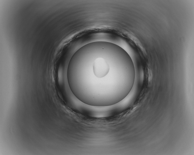 X0000113090920200908281240
