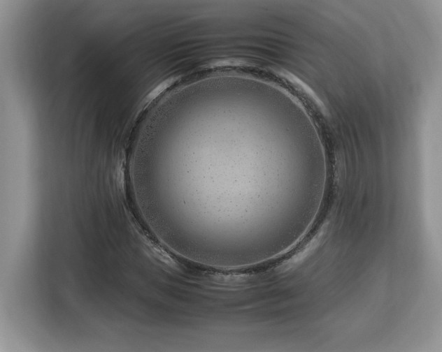 X0000113090921200908281240