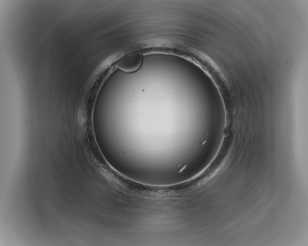 X0000113090922200908281240