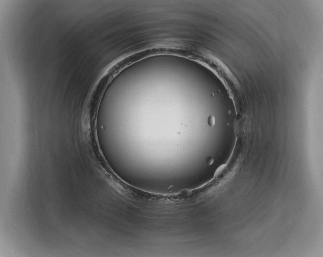 X0000113090923200908281240
