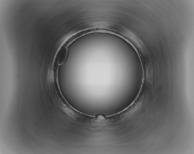 X0000113090924200908281240