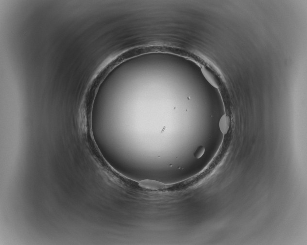 X0000113090925200908281240