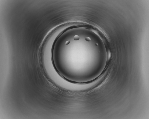X0000113090926200908281240