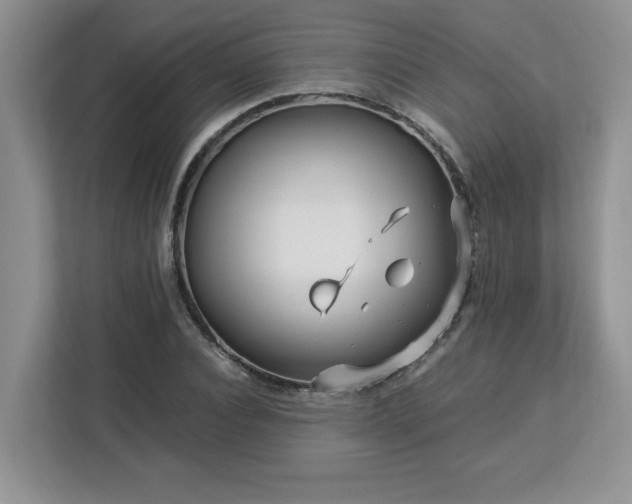 X0000113090928200908281240