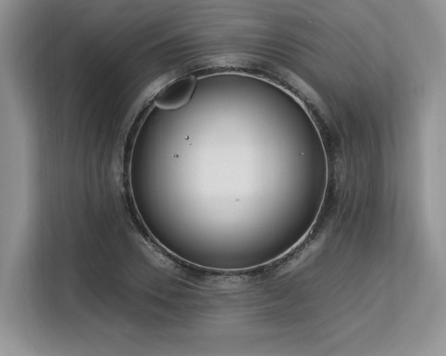 X0000113090930200908281240