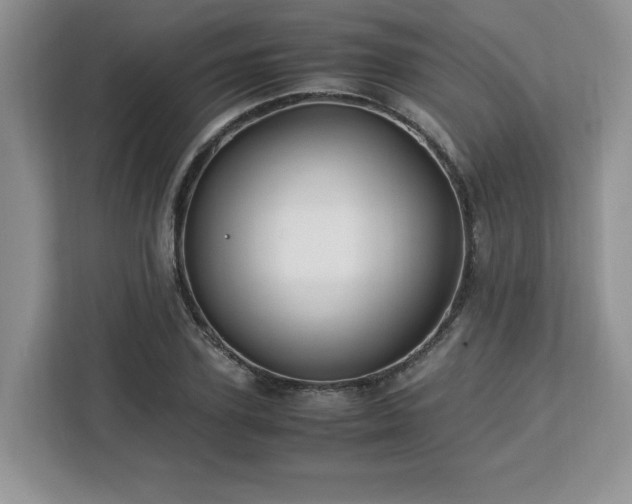 X0000113090931200908281240