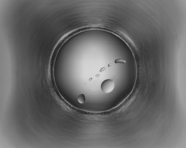 X0000113090932200908281240